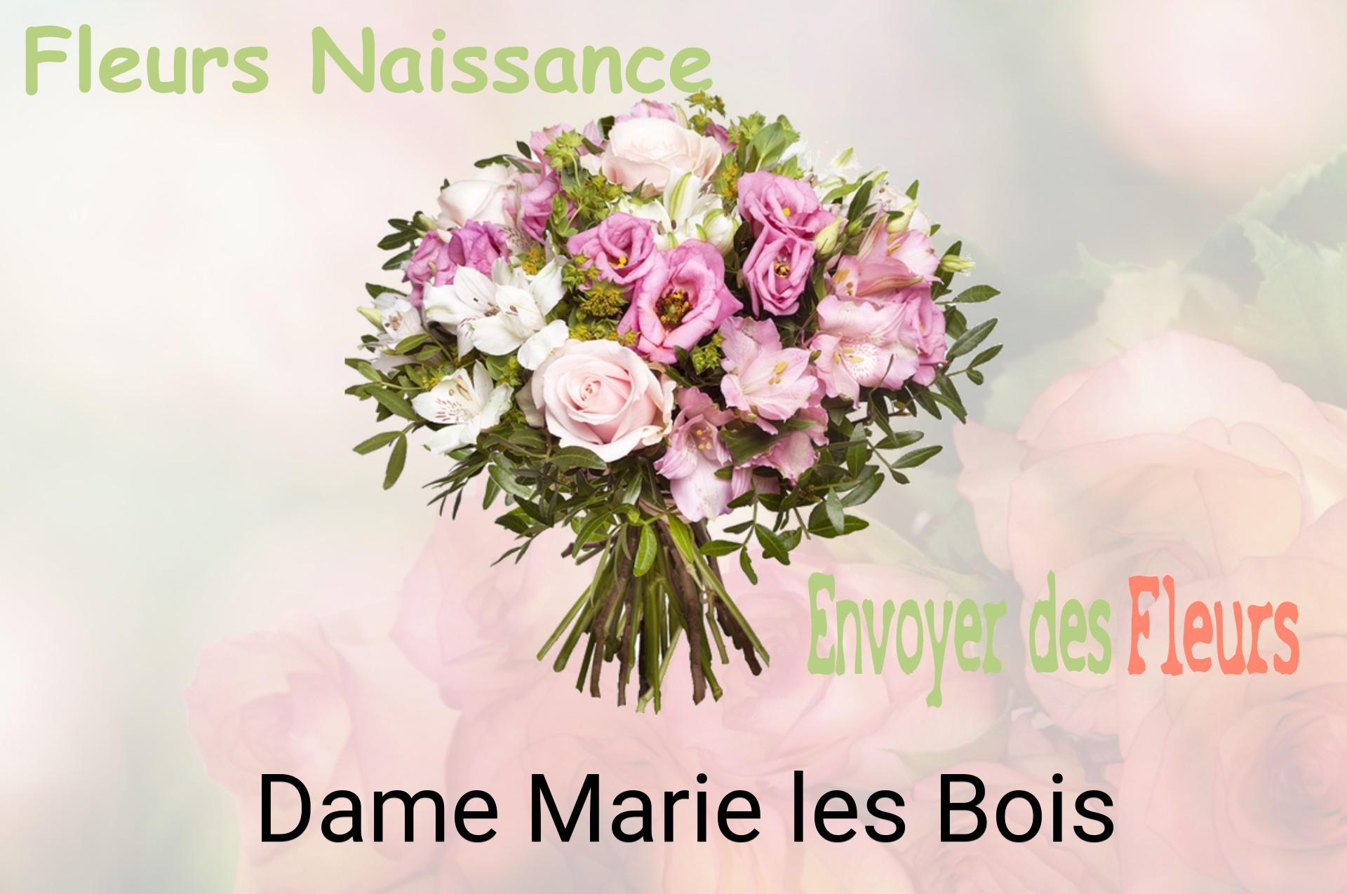 Bouquet de fleurs de naissance livré à Dame-Marie-les-Bois