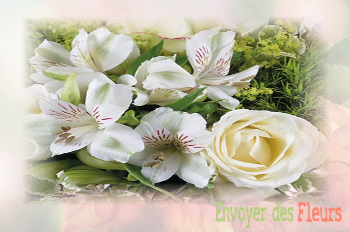 envoyer des fleurs à à DAME-MARIE-LES-BOIS